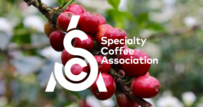 Logo của hiệp hội cà phê đặc sản quốc tế