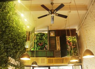 MISA CukCuk cùng Cin Cin Cafe&Tea ươm vườn nhiệt đới trong lòng Hà Nội