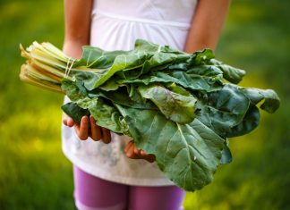 Kinh doanh quán nhỏ: biết bao giờ đuổi kịp lối sống 4.0 của người tiêu dùng Trách nhiệm xã hội