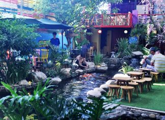 Thế giới Koi Coffee – Không gian của tín đồ mê sống ảo và yêu cá Koi Thế giới Koi Coffee