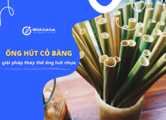 Những sự thật thú vị về ống hút cỏ chưa chắc bạn đã biết!