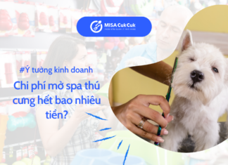 Chi phí mở spa thú cưng hết bao nhiêu tiền? Tips mở spa tiết kiệm