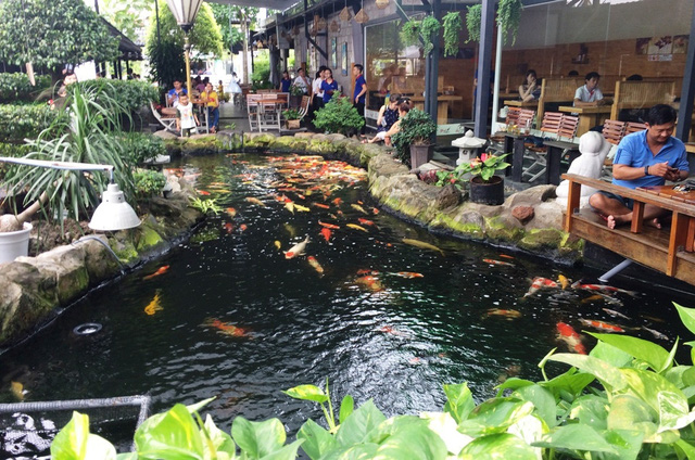 quán nhậu cá koi