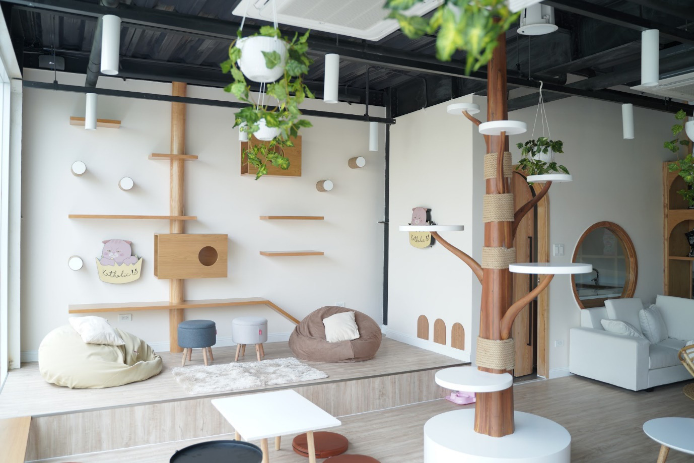 Những điều cần lưu ý khi kinh doanh cafe thú cưng