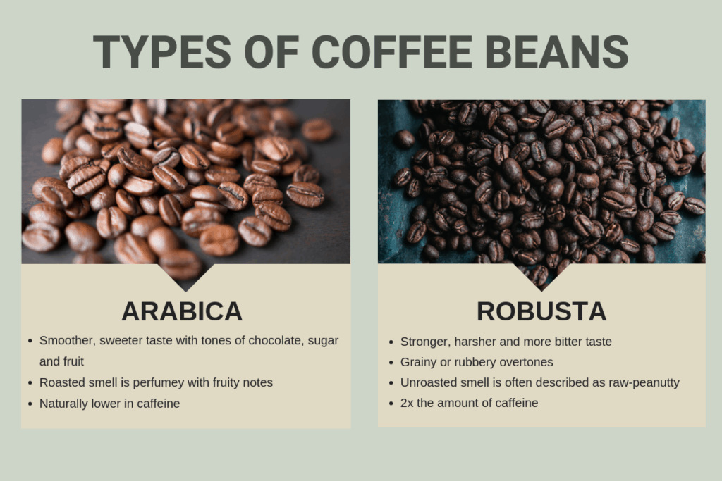 So sánh Arabica với Robusta