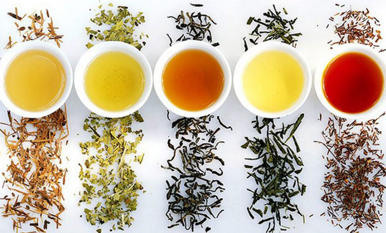 Các loại lá hồng trà