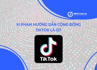 Vi phạm hướng dẫn cộng đồng TikTok là gì? Làm gì nếu tài khoản bị hạn chế?