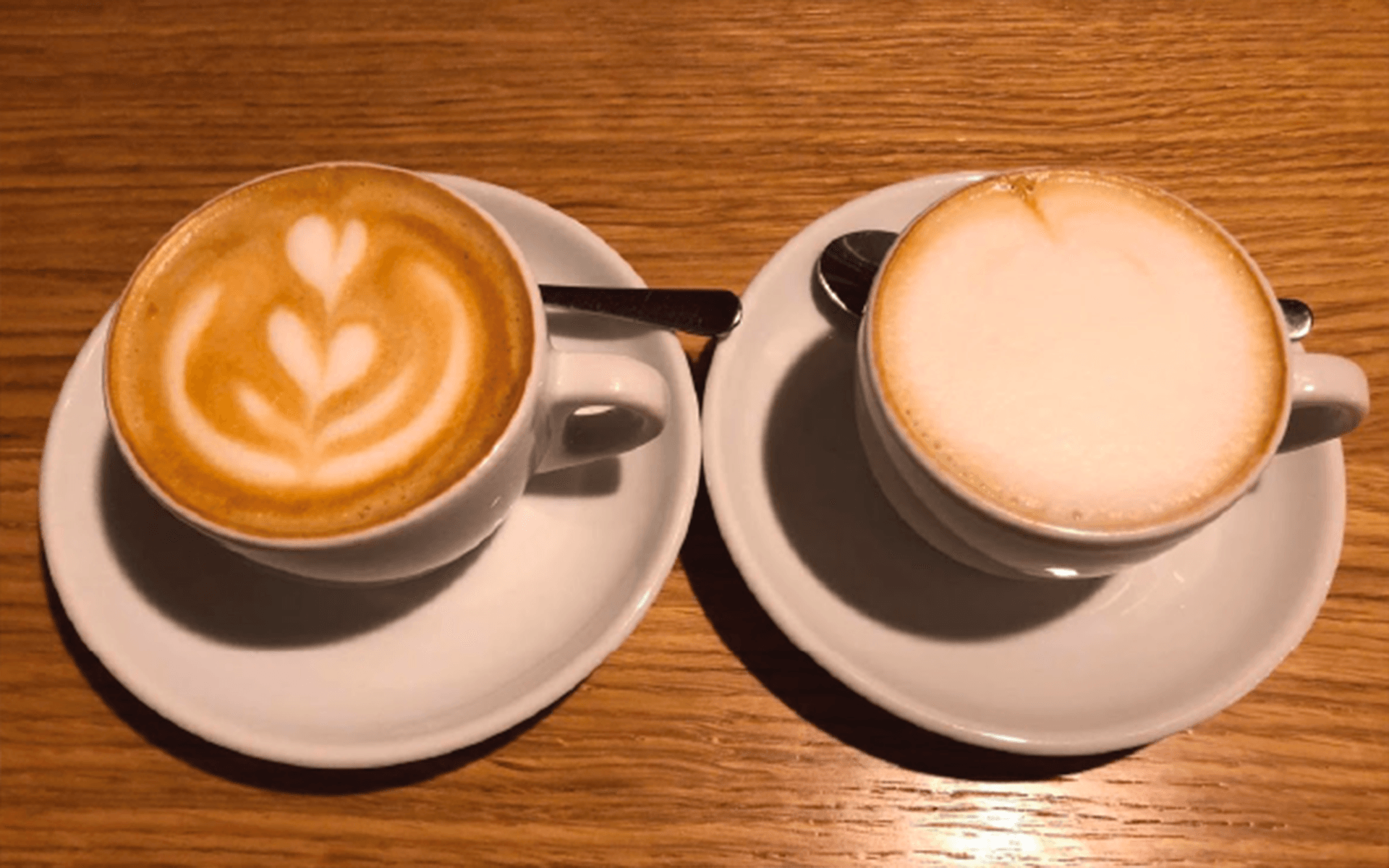 cappuccino có đặc điểm gì