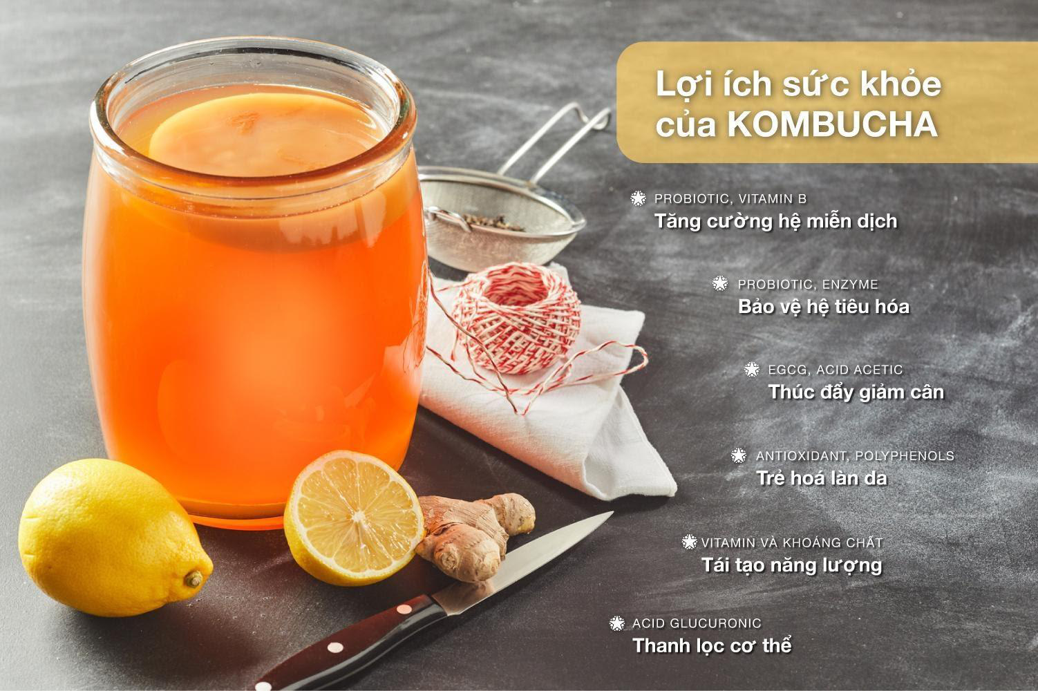 cách làm kombucha