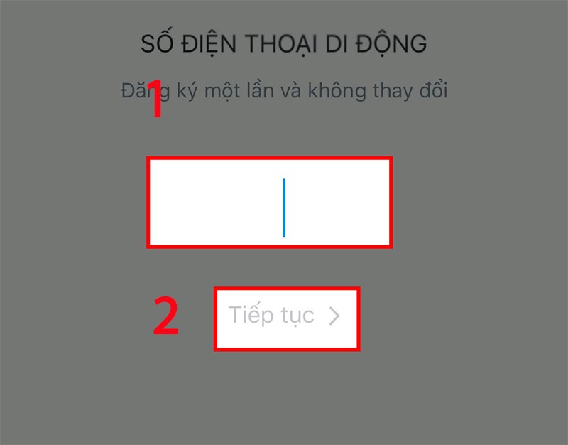 Màn hình xác thực số điện thoại zalopay
