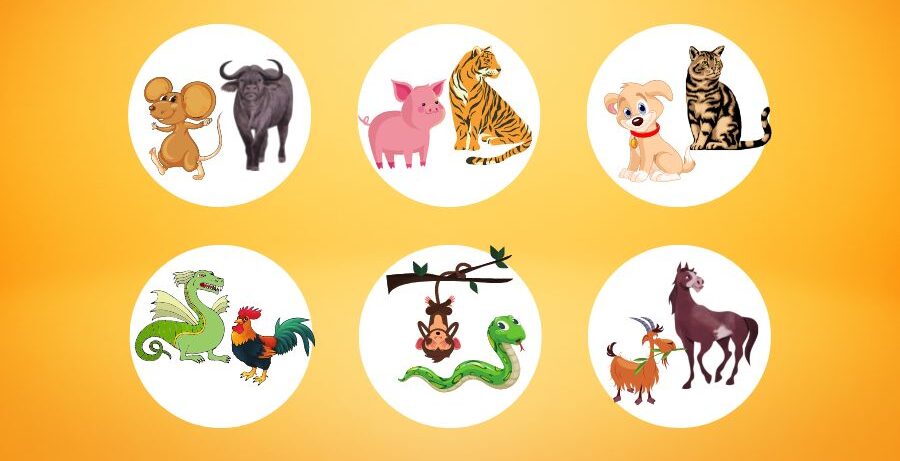 Chọn tuổi mở hàng trong nhóm lục hợp