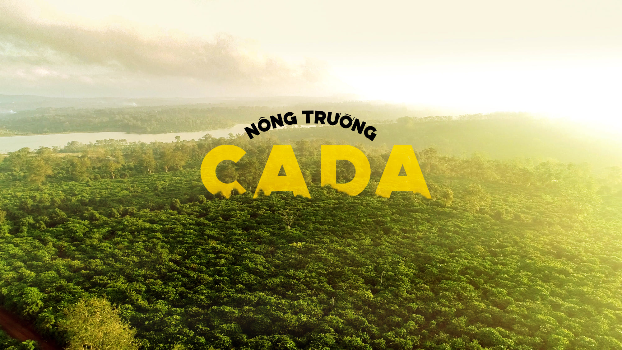 nông trường CADA