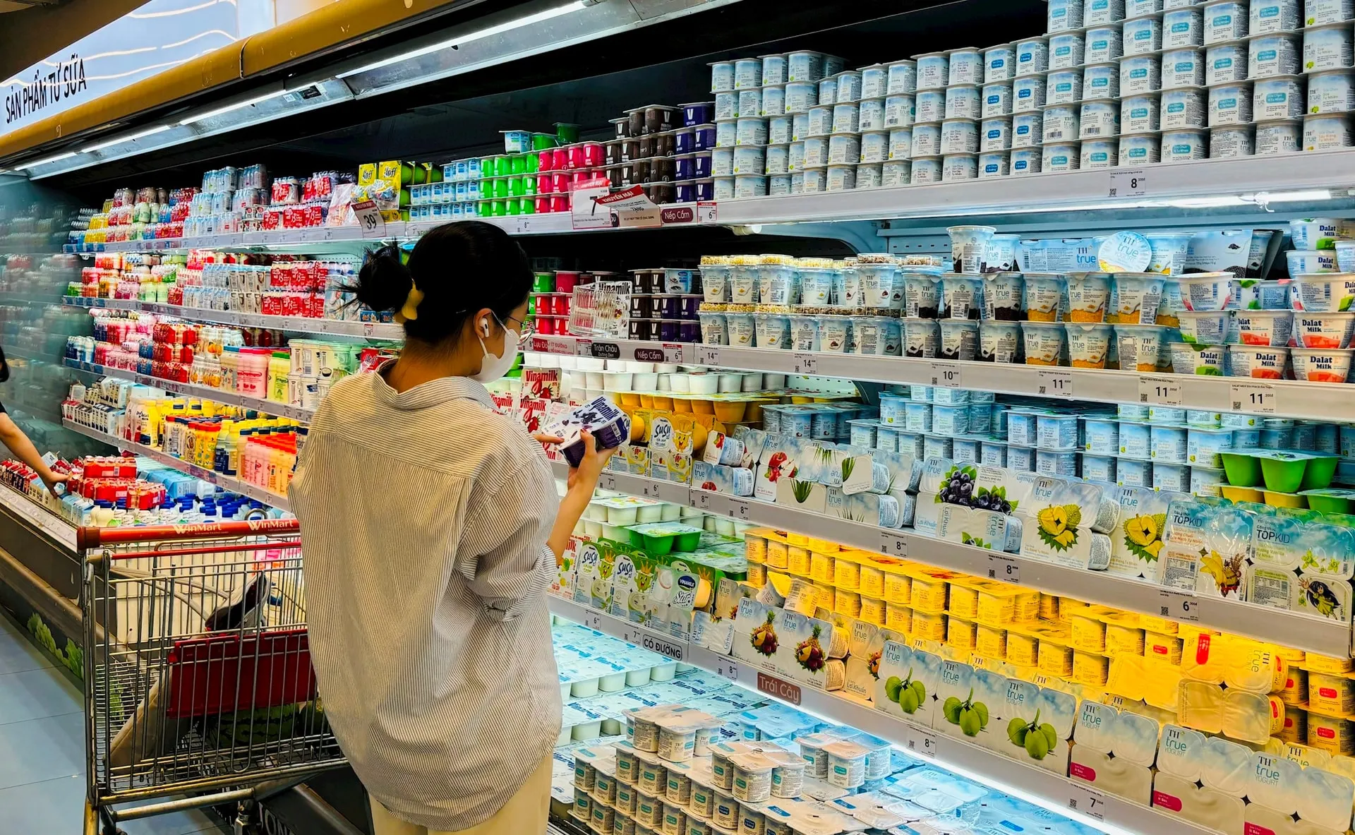 phân khúc thị trường của vinamilk