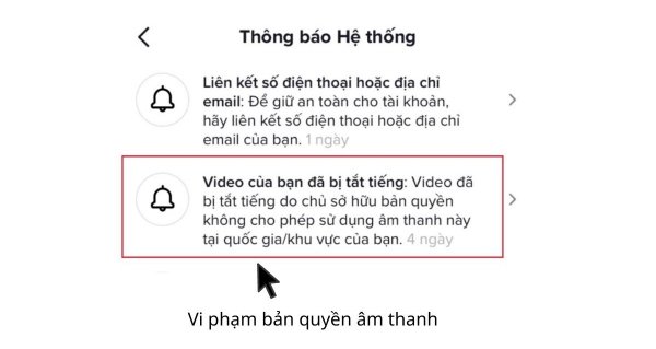 vi phạm tiêu chuẩn cộng đồng tiktok vi phạm bản quyền thương hiệu