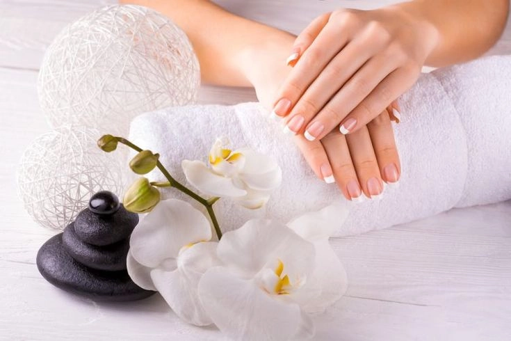 mô hình spa