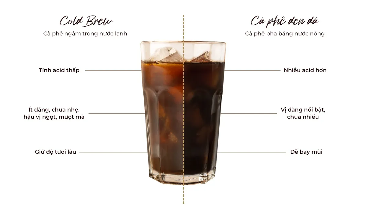 so sánh cold brew và cà phê pha nóng