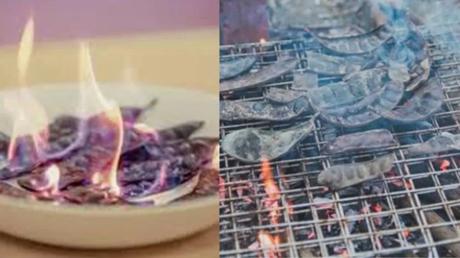 đốt bồ kết xả xui