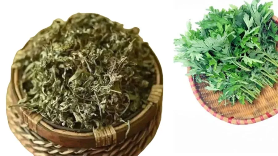 đốt lá ngải cứu xả xui